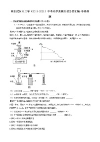 湖北省武汉市三年（2019-2021）中考化学真题知识分类汇编