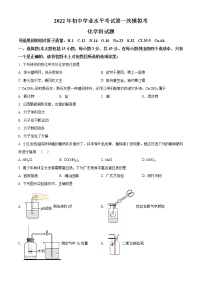 2022年广东省揭阳市揭东区中考一模化学卷及答案（文字版）