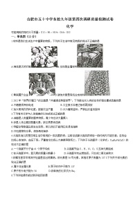 2022年安徽省合肥市五十中东校九年级第四次调研质量检测化学试题(word版无答案)