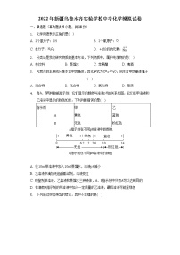 2022年新疆乌鲁木齐实验学校中考化学模拟试卷(word版无答案)