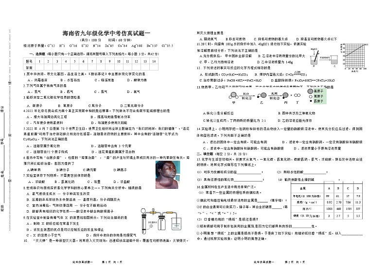 2022年海南省中考仿真模拟（一）化学试题 (word版无答案)01