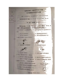 2022年辽宁省沈阳市沈河区九年级中考模拟考试化学试题（含答案）