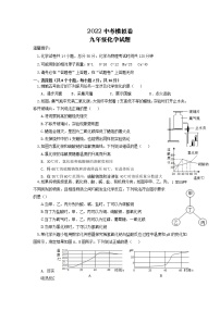 2022年山东省枣庄中考模拟化学试卷（无答案）