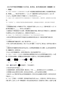 2022年中考化学冲刺必刷100题-分子式、化学式、化学方程式分析