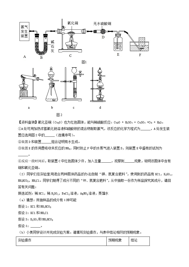 2022年中考化学冲刺必刷100题-科学探究题之实验的设计与操作②第3页