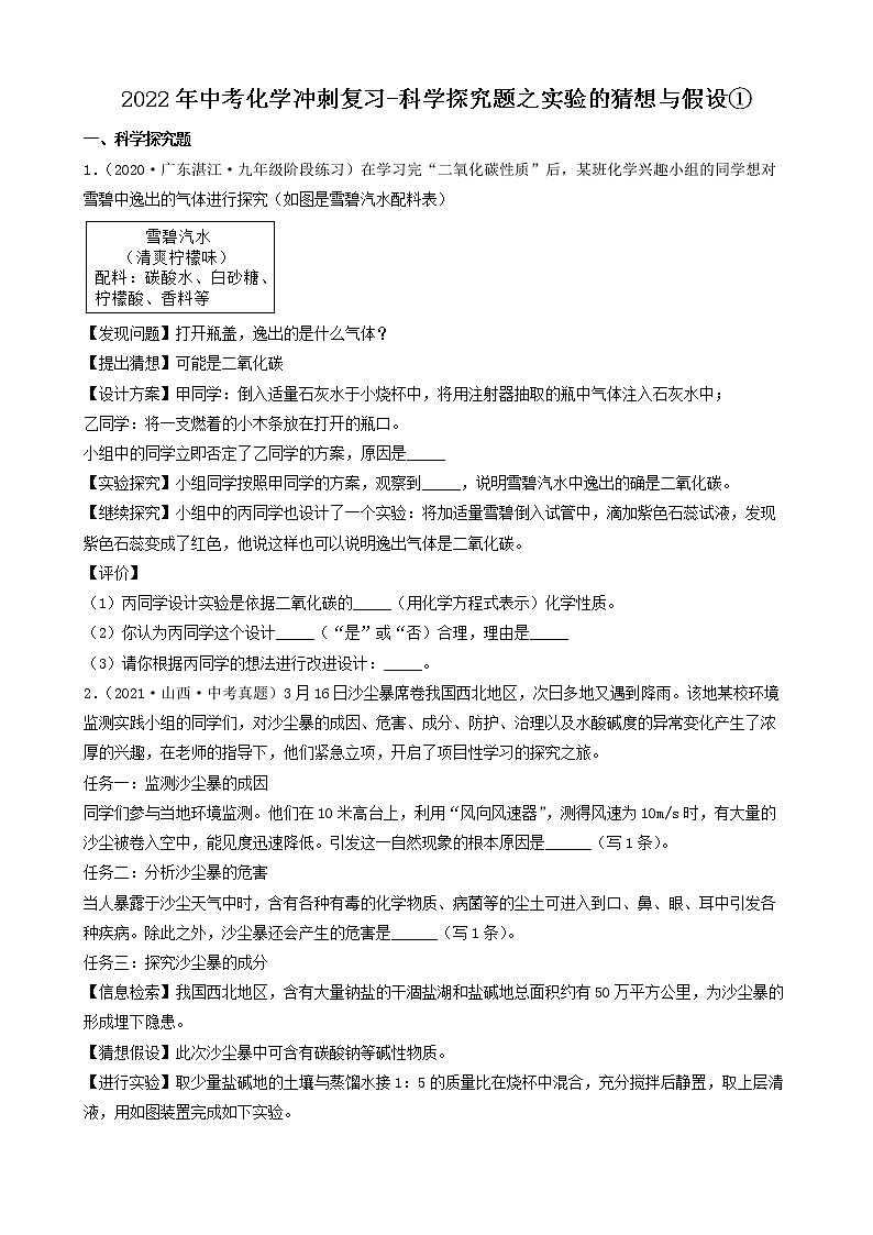 2022年中考化学冲刺必刷100题-科学探究题之实验的猜想与假设①第1页