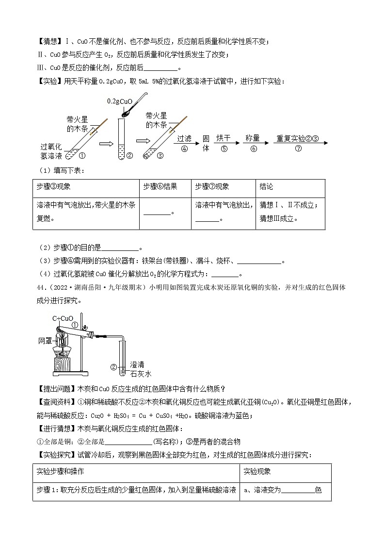 2022年中考化学冲刺必刷100题-科学探究题之实验的猜想与假设③第2页