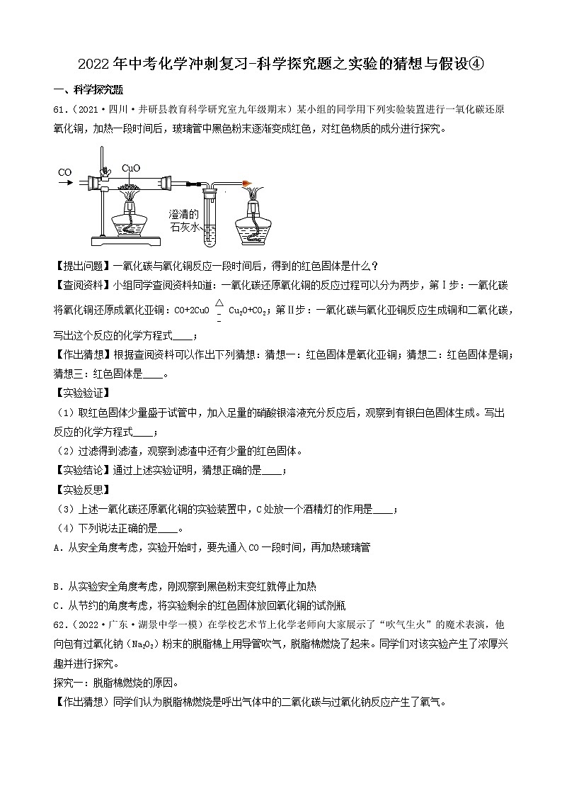 2022年中考化学冲刺必刷100题-科学探究题之实验的猜想与假设④第1页
