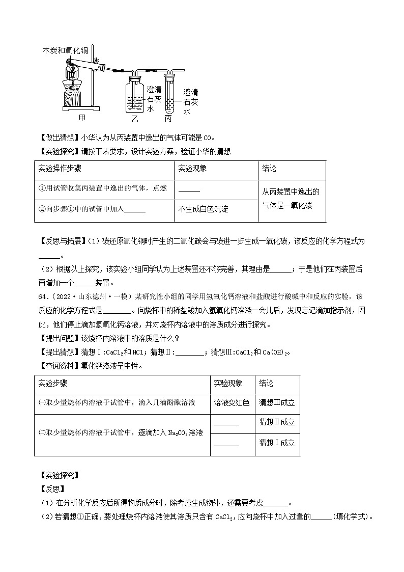 2022年中考化学冲刺必刷100题-科学探究题之实验的猜想与假设④第3页