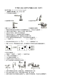 2022年陕西省西安市中考定心卷化学试题(word版含答案)