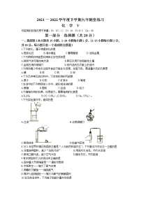 2022年辽宁省铁岭市九年级下学期中考模拟化学试题（含答案）