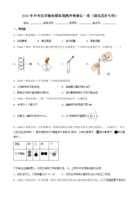 2022年中考化学精选模拟预测冲刺最后一卷（湖北武汉专用）