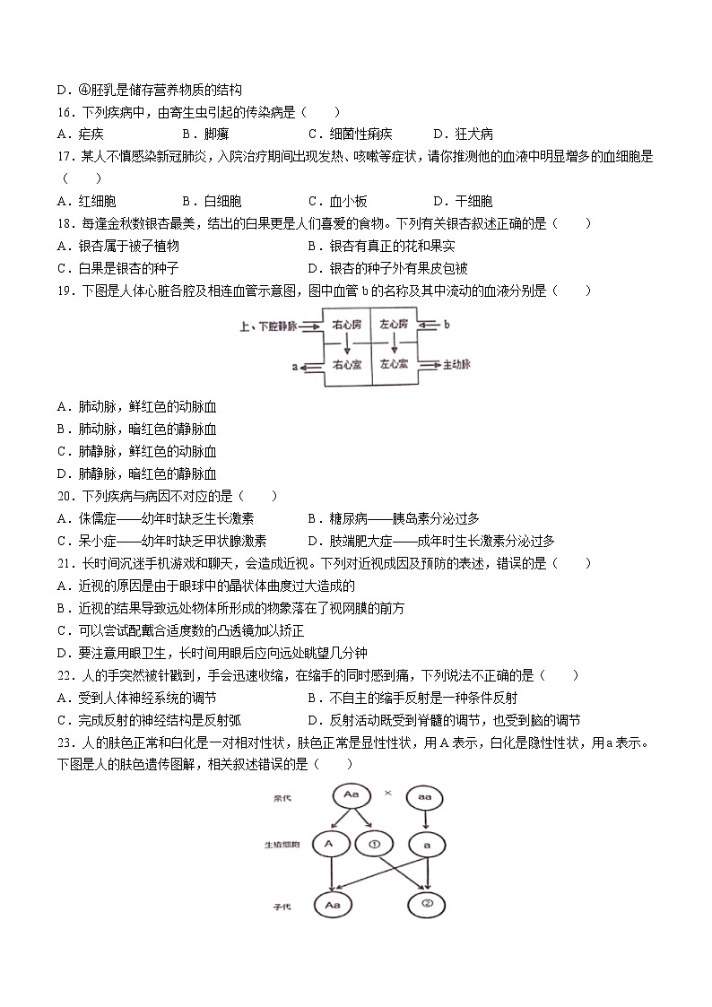 2022年江苏省宿迁市泗阳县中考三模生物试题(word版含答案)03