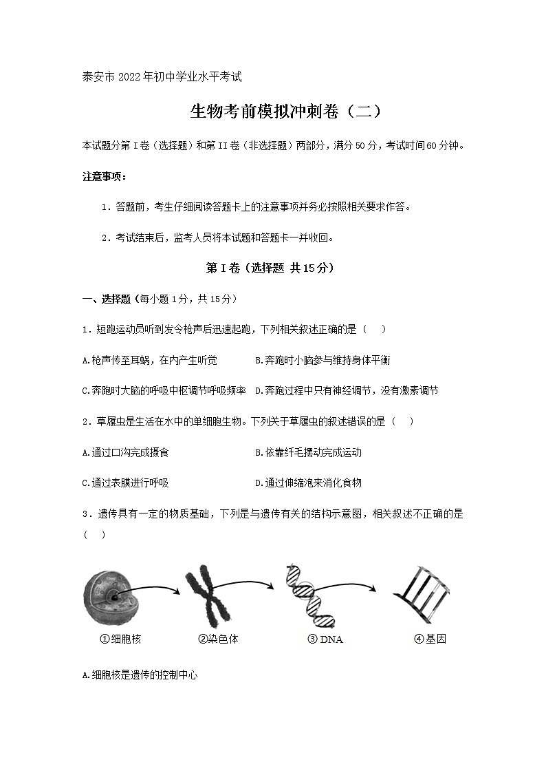 2022年山东省泰安市初中学业水平考试生物考前模拟冲刺卷（二）(word版含答案)第1页
