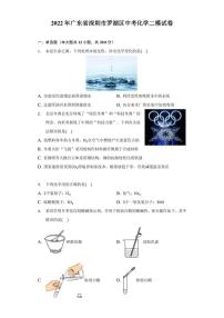 2022年广东省深圳市罗湖区中考化学二模试卷（附答案详解）