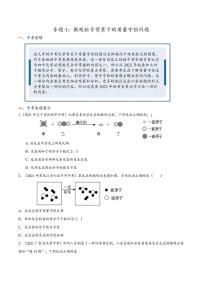 2022年中考化学压轴题专练1：微观粒子背景下的质量守恒问题（学生版+解析版）