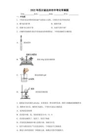 【中考真题】2022年四川省达州市中考化学试卷（附答案）