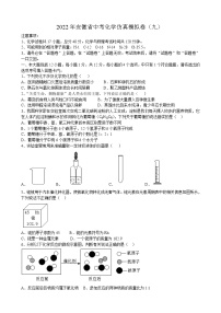 2022年安徽省中考化学仿真模拟卷（九）(word版含答案)