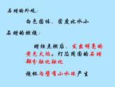 沪教版九年级化学 上册  第一章  第二节 化学研究物质的性质及变化课件