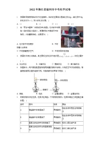 2022年浙江省温州市中考化学试卷（包含答案解析）