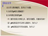 第十单元 课题2 酸和碱的中和反应-课件（第二课时）