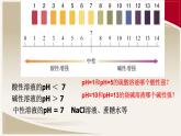 第十单元 课题2 酸和碱的中和反应-课件（第二课时）