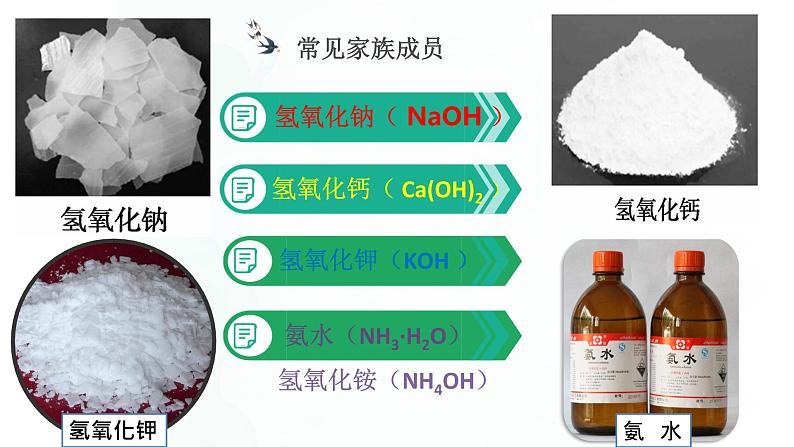 第十单元 实验活动6 酸、碱的化学性质-课件04