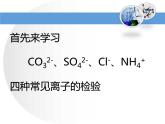 第十一单元 课题2 化学肥料-课件+学案（第二课时）