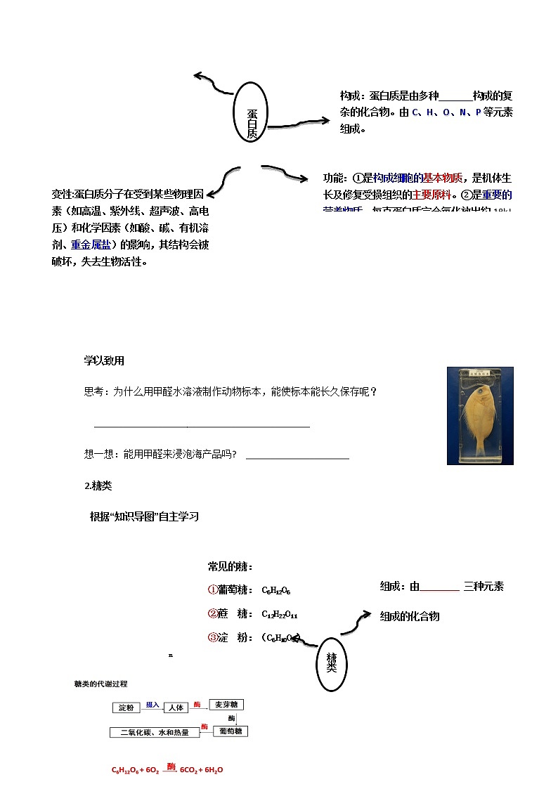 第十二单元 课题1 人类重要的营养物质-课件+学案+练习02