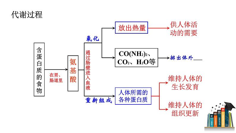 第十二单元 课题1 人类重要的营养物质-课件+学案+练习06