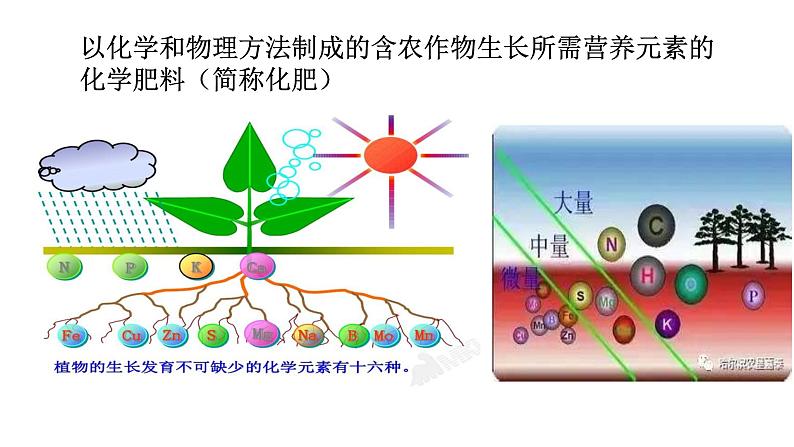 第十一单元 课题2 化学肥料-课件+学案（第一课时）06