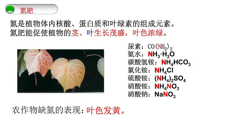 化学肥料-课件第7页