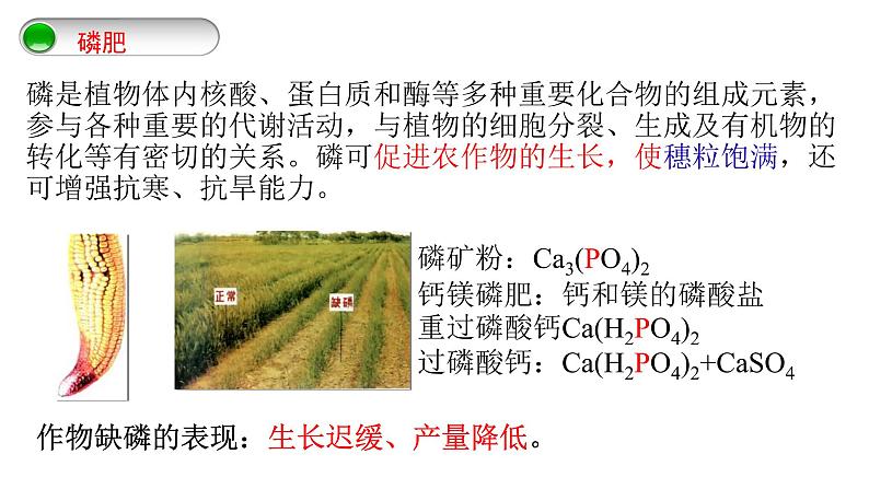 第十一单元 课题2 化学肥料-课件+学案（第一课时）08