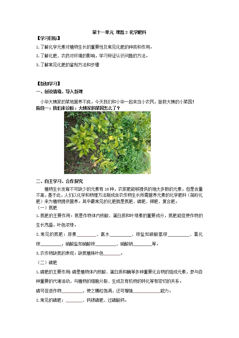 化学肥料-学案第1页
