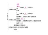 第十二单元 化学与生活-复习课件