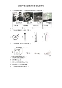 2022年湖北省随州市中考化学试卷（含答案解析）