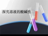 沪教版（上海）初中化学九年级上册 3.3 溶液的酸碱性- 探究溶液的酸碱性  课件