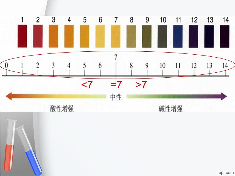 沪教版（上海）初中化学九年级上册 3.3 溶液的酸碱性- 探究溶液的酸碱性  课件第5页