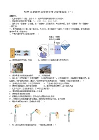 2022年安徽省桐城市老梅初级中学中考化学模拟卷（三）(word版含答案)