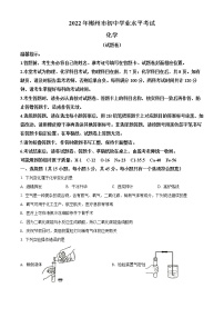 2022年湖南省郴州市中考化学真题(word版含答案)