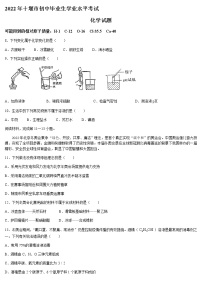 2022年湖北省十堰市中考化学真题(word版无答案)