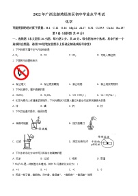 2022年广西北部湾经济区中考化学真题(word版含答案)