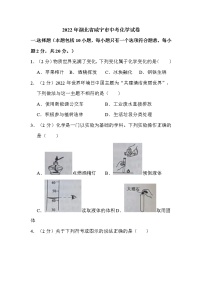 2022年湖北省咸宁市中考化学试卷解析版