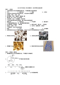 2022年中考化学二轮专题复习：化学思想方法的应用