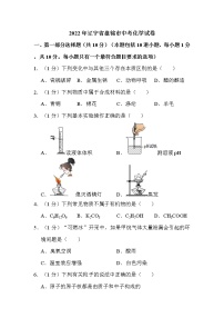 2022年辽宁省盘锦市中考化学试卷解析版