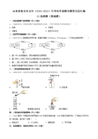 山东省泰安市五年（2018-2022）中考化学真题分题型分层汇编-01选择题（基础题）