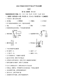 2022年山东省临沂市中考化学真题(word版含答案)