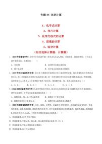 2022年中考化学学真题分类汇编 专题23 化学计算（学生版+解析版）