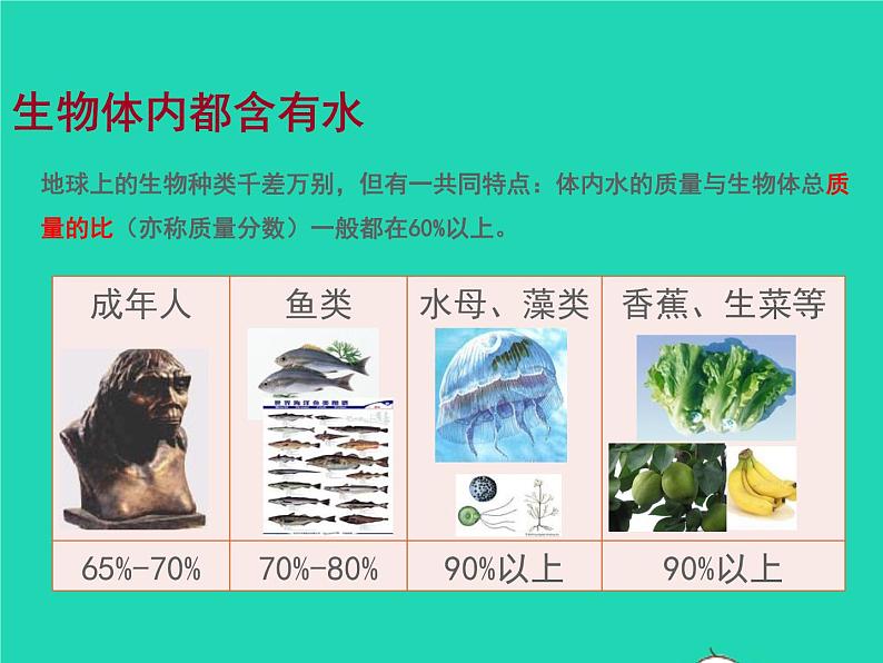 2022九年级化学上册第四单元自然界的水课题3水的组成课件新版新人教版02