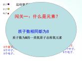 鲁教版化学九年级上册 2.4.1  元素 课件